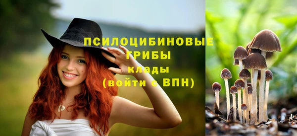 мет Арсеньев
