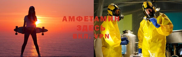ешки Аркадак