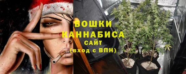 мет Арсеньев