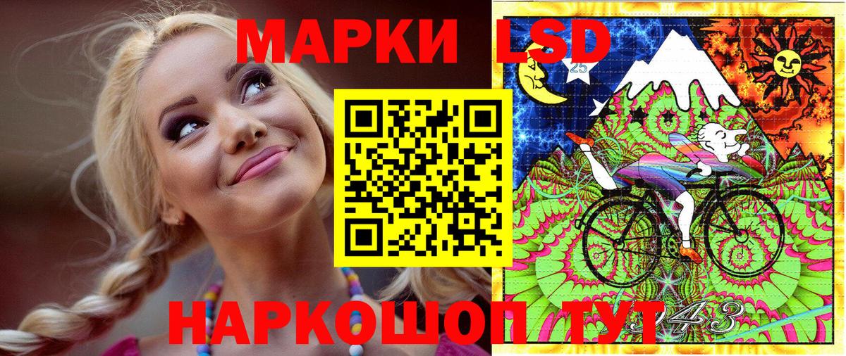 Наркотические марки  купить закладку  Камышин  Вход с VPN  Наркотические марки 1,5мг  Наркотические марки 1,5мг 