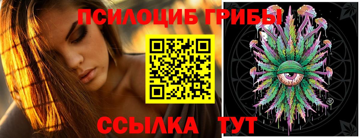 Камышин  Псилоцибиновые грибы MAGIC MUSHROOMS  Вход с VPN 